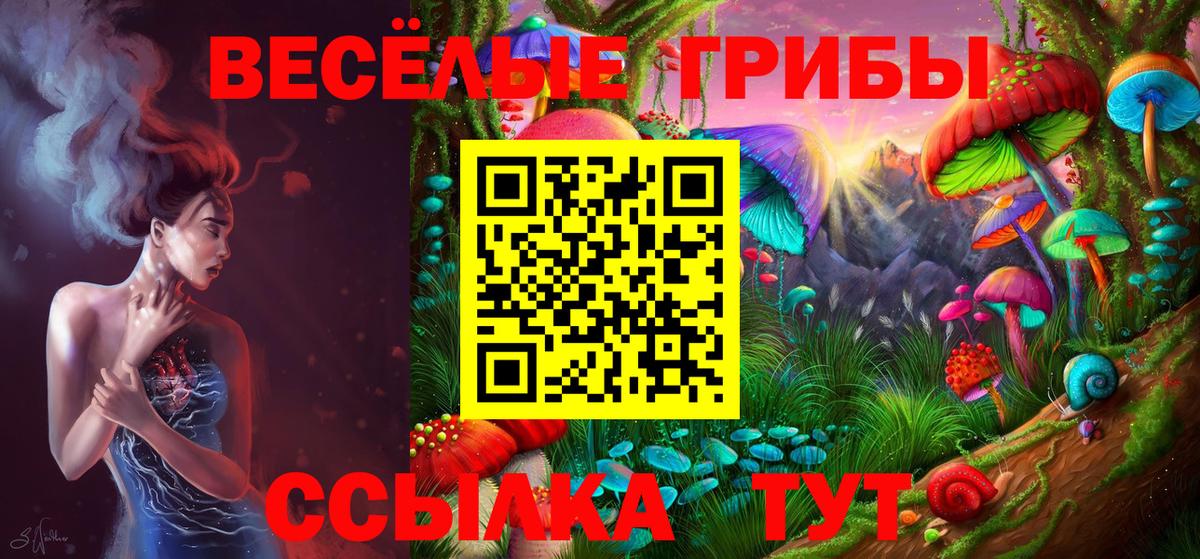 Псилоцибиновые грибы мицелий  Вход с VPN  Гуково  Псилоцибиновые грибы Psilocybe 
